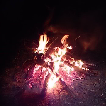 Aktiviteter i Varanger Trekkhundklubb